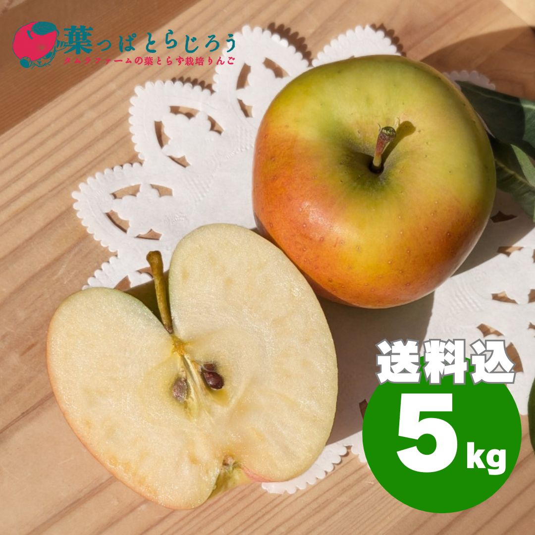 ぐんま名月 5kg | タムラファームショップ